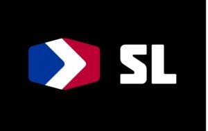 sleefs logo 2020